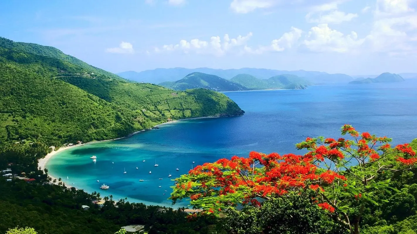 高标准智能系统高效